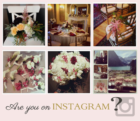 wedding planner calgary instagram